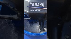 Yamaha F2.5AMH