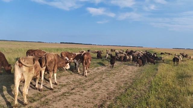 18 июня 2023 г. смотреть онлайн