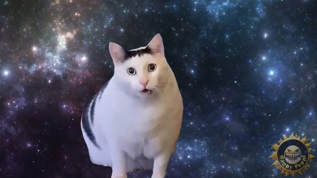 Chipi Chipi Chapa Chapa Cat - Coffin Dance Song (COVER) смотреть онлайн