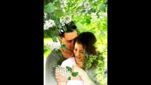 Сыплет черемуха снегом