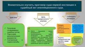 Кассационное обжалование в уголовном процессе