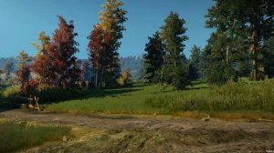 The Witcher 3 Mods - Autumn Flora Enhancement