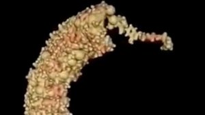 Тайна происхождения жизни