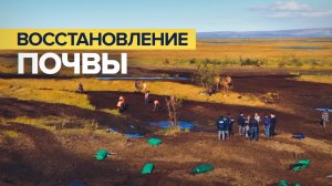 В Норильске завершились работы по восстановлению почвы после разлива топлива в 2020 году