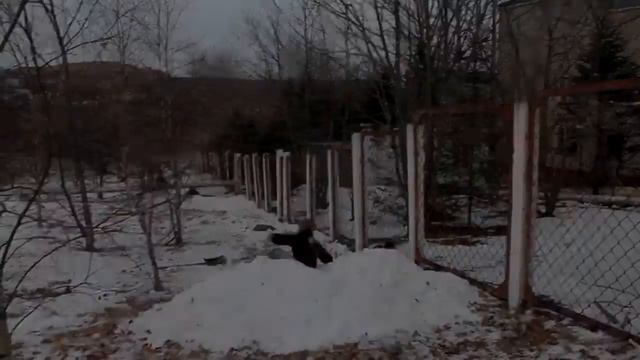 EVGENIY KUKUSHKIN 2015\GooD YeaR смотреть онлайн