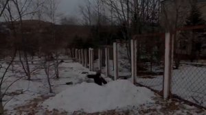 EVGENIY KUKUSHKIN 2015\GooD YeaR