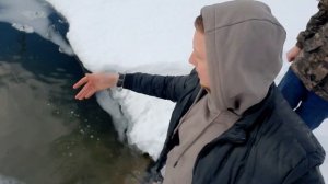 ⚠️ЗАПУСК В ПРУД МОРМЫША КОРМЛЕНИЕ ДИКИХ РЫБ (ЯЗЕЙ,ЛИНЕЙ,ГОЛОВЛЕЙ,СТЕРЛЯДЬ,ЛЕЩЕЙ)ПОСЛЕ ЗИМНЕГО СЕЗОН