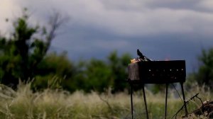 Катериновка, Донецкая область