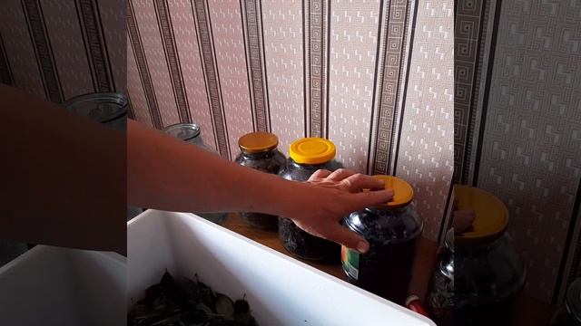Форвакуумная ферментация чая из листьев вишни,смородины,малины.