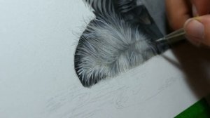 Art Tips: Easy White Highlights for Coloured Pencil Art