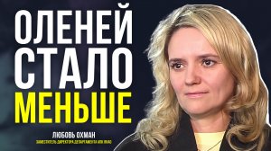 Как погода влияет на приплод северного оленя и почему оленеводы охотней сдают оленей на мясо