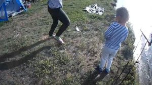 Рыбалка на Оби, на сазана, с подписчиками)))