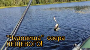 Чудовища озера Лещёвого!