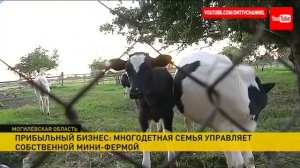 Семейная мини-ферма в Климовичском районе: секреты успеха молочного бизнеса