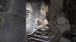 Hyundai Elantra J3 1 8 Непонятные звуки и большая вибрация двигателя