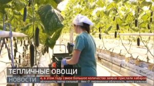 Тепличные овощи. Новости. 23/12/2022. GuberniaTV