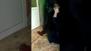 Имам одного лезгинского села в Дагестане привел в дом вторую жену.
