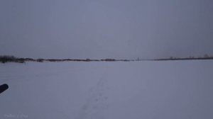 На гирлянду окунь, а тут густера! Зимняя рыбалка на Оке! Зимняя рыбалка !