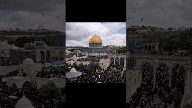 #subscribe #like #comment #share #support смотреть онлайн