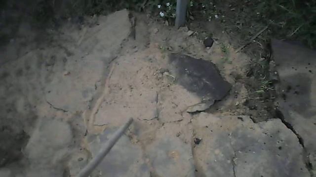 Дорожка из БУ асфальта смотреть онлайн