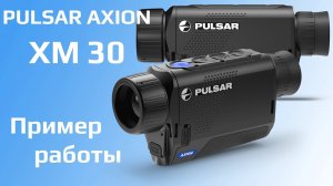 Тепловизор Pulsar Axion XM30