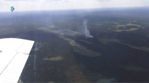 В Усть-Куломском районе загорелись леса