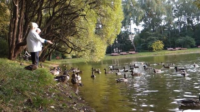 Нарышкинский пруд в Филёвском парке