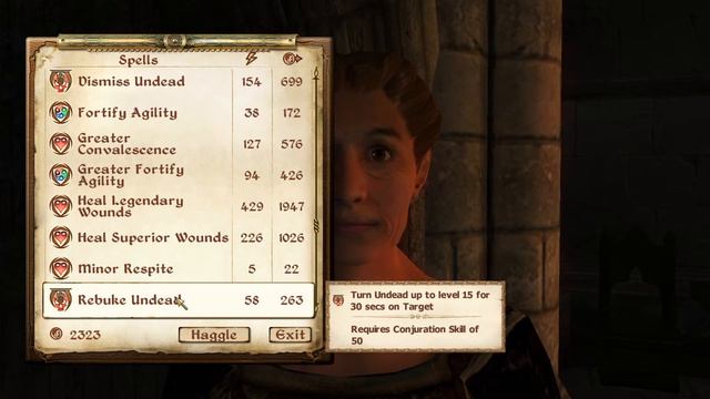 The Bruma Recommendation - Oblivion Ep 13 смотреть онлайн