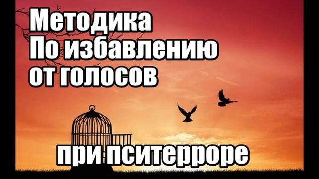 Человек рассказал , как он избавился от голосов в голове которые он слышал при пситерроре! смотреть онлайн