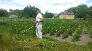 Как косить триммером без лямок (вообще или с поясом)?