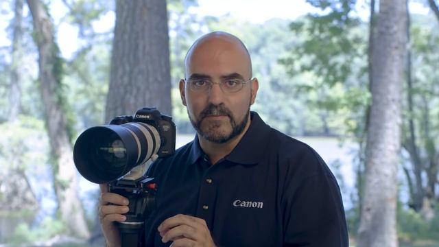 Canon EOS 7D Mark II Auto Focus Guide - Basics of Bird in Flight Photography смотреть онлайн