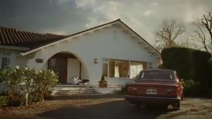 как аист приносит детей