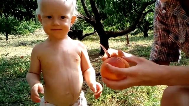 Марьяна срывает персики смотреть онлайн