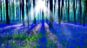 Коло-коло-колокольчик Музыка Г. Пономаренко. Слова В. Бокова,исполняет О.Б.Воронец