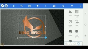 Pixellab 3d logo design tutorial - King eagle logo design[Vandy Design]