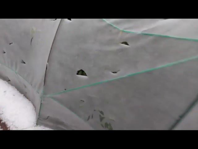 жуткий град в Бутурлиновке. погиб весь урожай побило пластик. смотреть онлайн