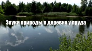 Звуки природы в деревне у пруда