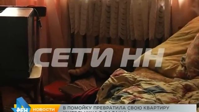 Квартиру в рассадник инфекции, тараканов и грязи превратила жительница Балахны смотреть онлайн