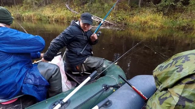 Окунь на удочку и спиннинг. Клёв, что надо! Летняя рыбалка. 2018.