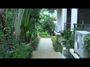 о.Пхукет. Отель "Orchidacea Resort" 3*