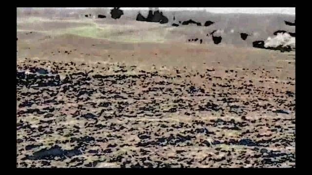 мр Милован Филиповић - СРБИЈА ЈЕ НА РОБИЈИ