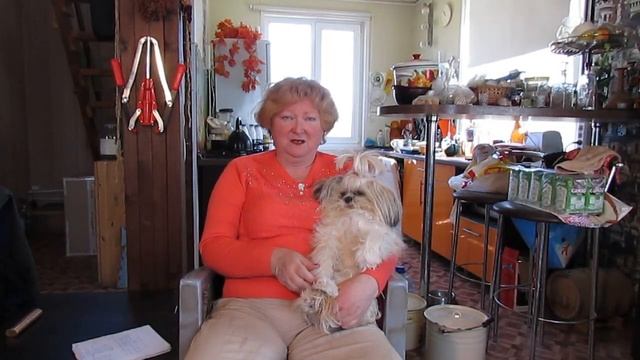 Вьетнамские свиньи - ВОЛЬЕР (ЗАГОН) своими руками / Вьетнамские свиньи