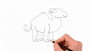 how to draw a camel, draw animals