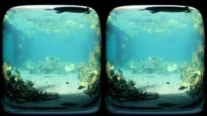 8K VR180 3D Underwater reef at Sea World Part 1 (Travel/Lego ASMR/Music 4K/8K Metaverse)