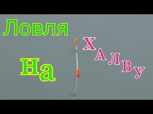 Рыбалка. Ловля на халву.