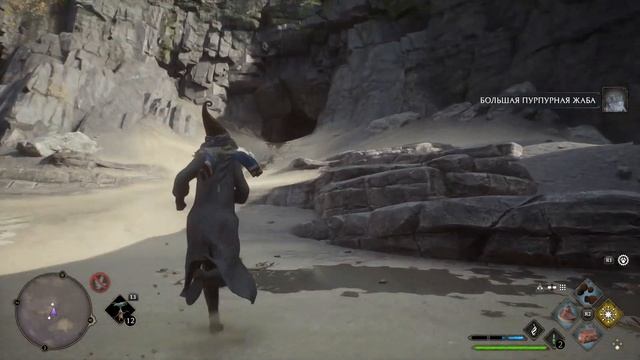 HOGWARTS LEGACY #22 ? PS5 КРУЦИО. Прохождение на русском. смотреть онлайн