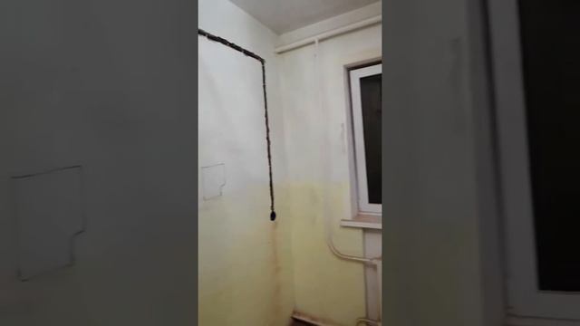 Электрика кухни смотреть онлайн