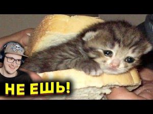 ЗАСМЕЯЛСЯ - ПРОИГРАЛ ► ЛУЧШИЕ ПРИКОЛЫ ( УЛЫБНУЛИСЬ ПРОИГРАЛИ СОЮЗ СМЕХА ) | Реакция