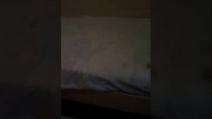 Как красиво сделать дом на кровати🏢🏢🏢
