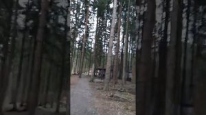 СПОРТИНГ КЛУБ МОСКВА